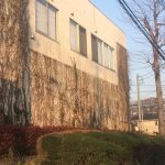 組織には『変なやつ』が必要