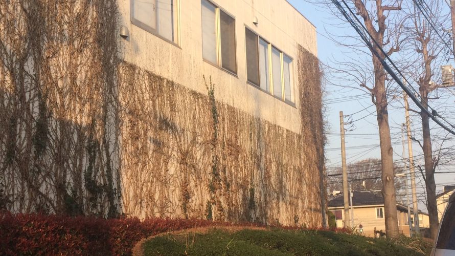 組織には『変なやつ』が必要