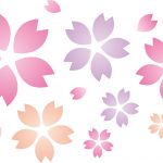 桜の開花と人材教育