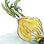 仕事の目的と玉ねぎの話