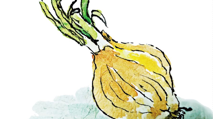 仕事の目的と玉ねぎの話