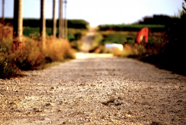 魅力ある強い組織は一日にしてならず
